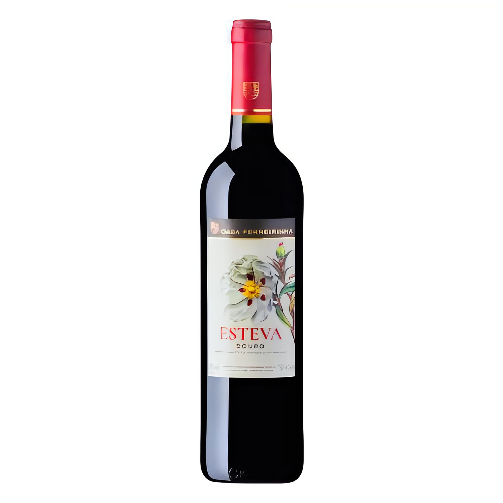Esteva